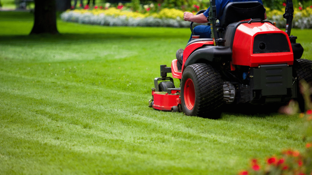 lawn care, mow
